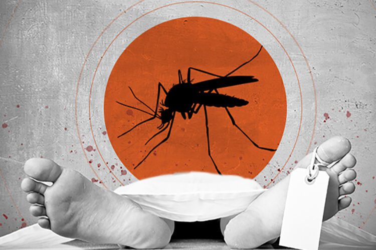 dengue-death