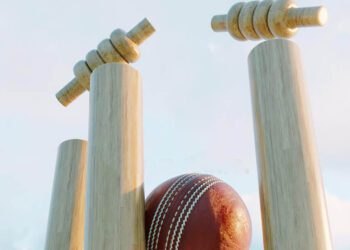 cricket-wicket-