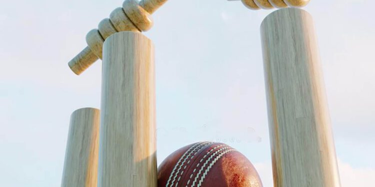 cricket-wicket-
