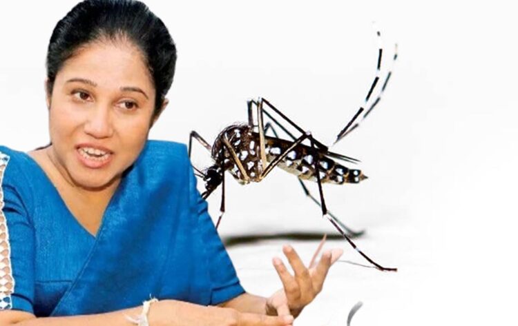 Aedes-aegypti