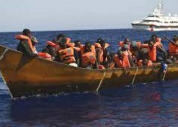 Shipwreck Claims 41 Migrant Lives near Italian Island