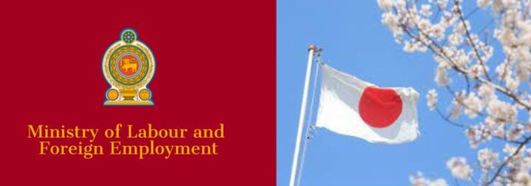 Ministry Promotes Japanese Language Education for Sri Lankan Youth's Japanese Job Prospects