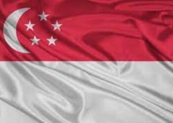 Singapore's Presidential Candidates Unveiled