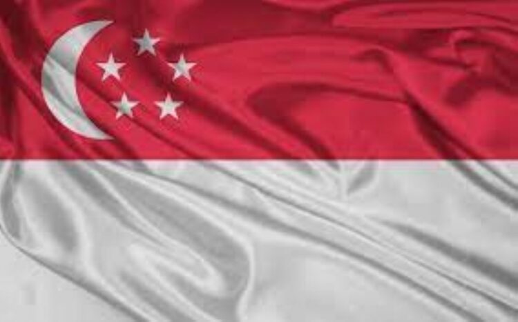 Singapore's Presidential Candidates Unveiled