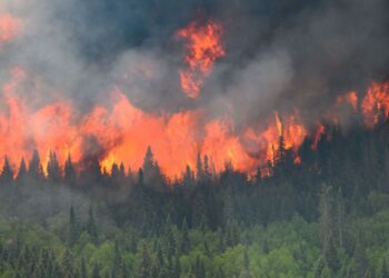 Canada Evacuates Yellowknife Amidst Raging Wildfires