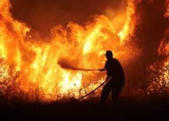 Hospital Evacuation Amid Raging Wildfires in North-Eastern Greece