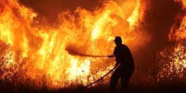 Hospital Evacuation Amid Raging Wildfires in North-Eastern Greece