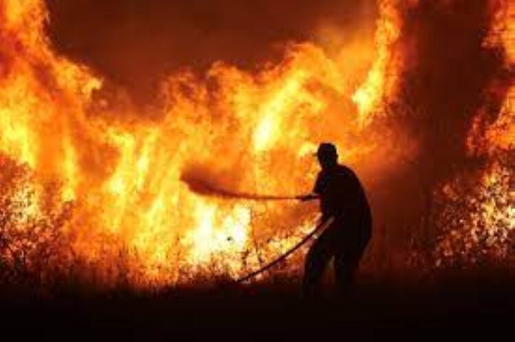 Hospital Evacuation Amid Raging Wildfires in North-Eastern Greece
