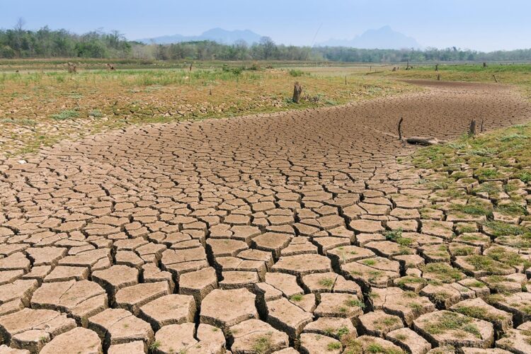 Drought.
