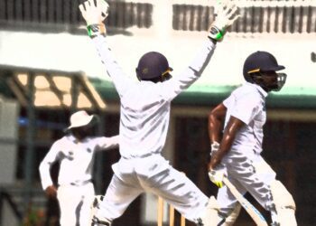 cricket
