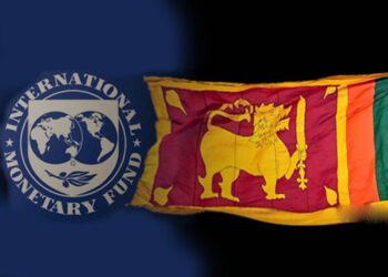IMF