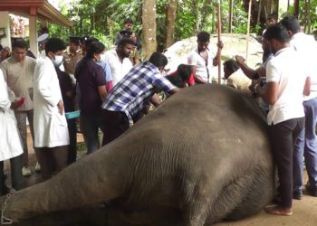 සීතාට දෙවැනි සැත්කම කරමින්...