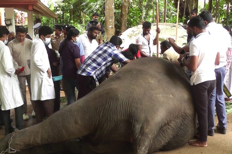 සීතාට දෙවැනි සැත්කම කරමින්...