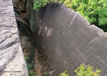 සෙල් ලිපිය පිහිටි විසල් සෙල්මුවා ඵලකය...