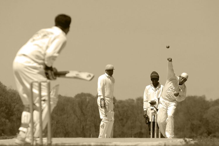CRICKET-s