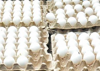 Bengaluru: Members of Karnataka Congress Mahila Morcha hold eggs and raise slogans against Karnataka Minister of Women and Child Development Shashikala  Jolle for the alleged Fraud Egg Distribution programme, in Bengaluru on Saturday, July 24, 2021. (Photo: IANS)