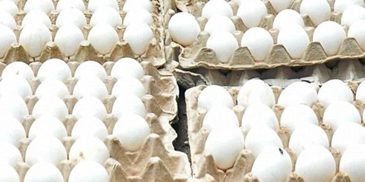 Bengaluru: Members of Karnataka Congress Mahila Morcha hold eggs and raise slogans against Karnataka Minister of Women and Child Development Shashikala  Jolle for the alleged Fraud Egg Distribution programme, in Bengaluru on Saturday, July 24, 2021. (Photo: IANS)