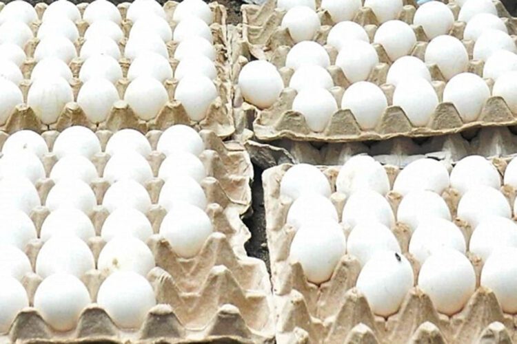 Eggs