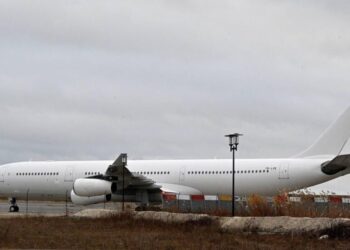 Plane Carrying Indian Nationals Grounded in France Over Human Trafficking Fears Arrives in India