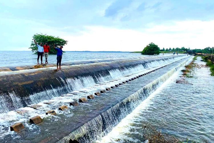 Vavunikulam