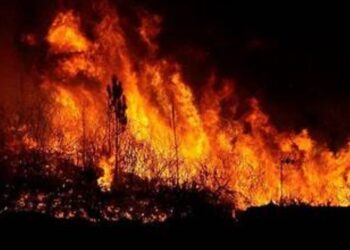 House Collapses as Wildfire Ravages Perth Suburb, Australia