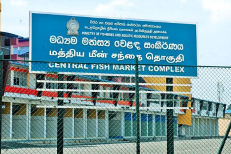 peliyagoda fish market