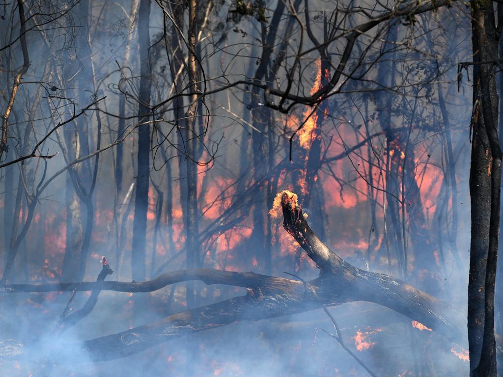 Victoria, Australia Battles the Devastating Bushfire Blazes