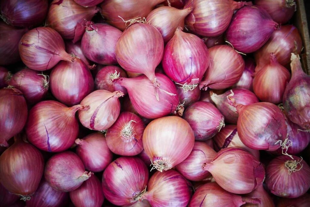 India Lifts Export Ban on Onions for Sri Lanka