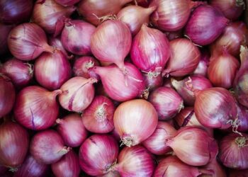 India Lifts Export Ban on Onions for Sri Lanka