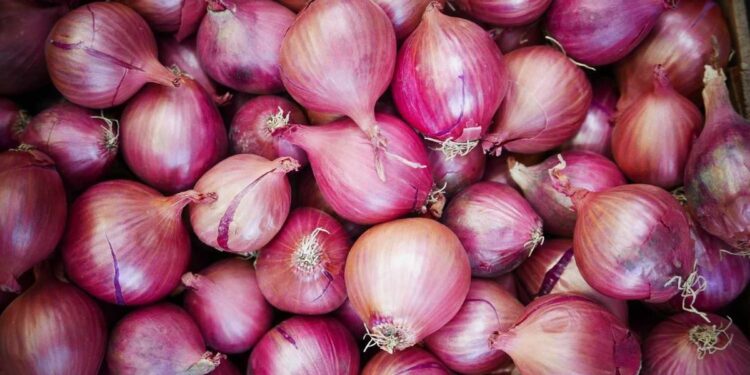 India Lifts Export Ban on Onions for Sri Lanka
