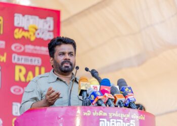Anura