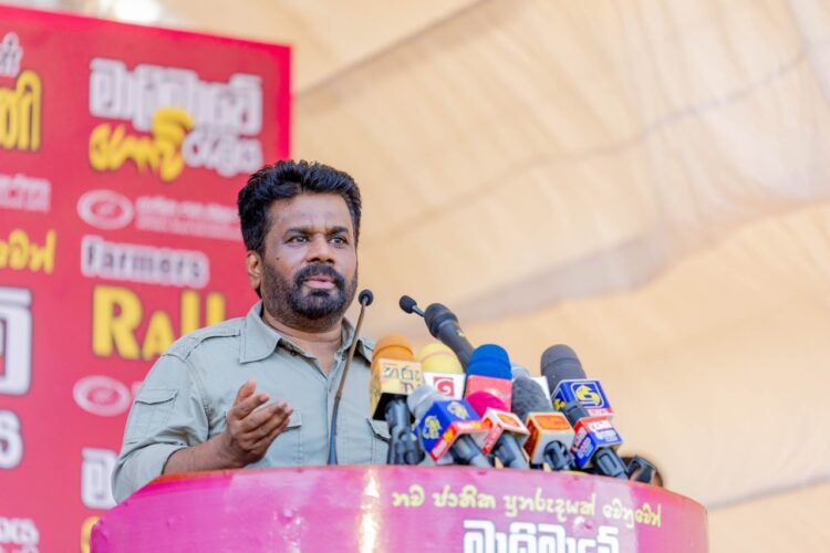Anura