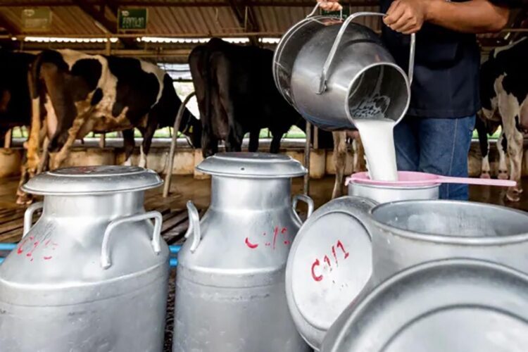milk-production