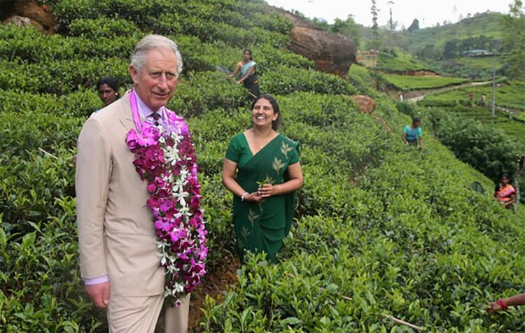 King Charles III mesmerizes his Nuwara Eliya visit and Mackwoods Tea