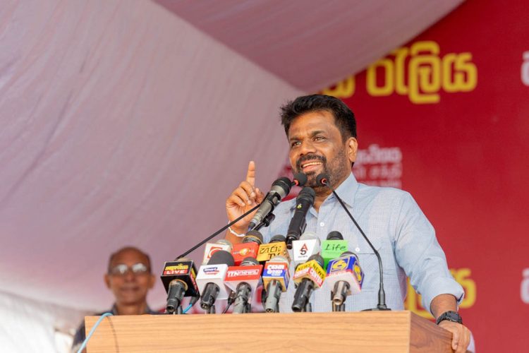 Anura