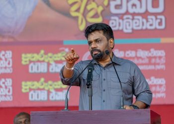 Anura