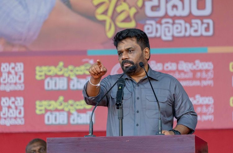 Anura