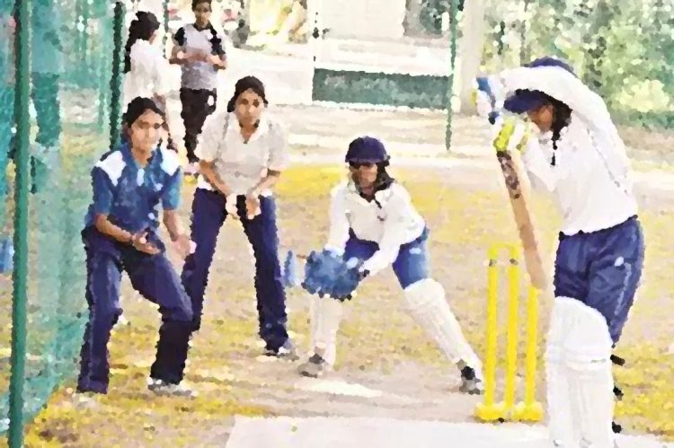 cricket