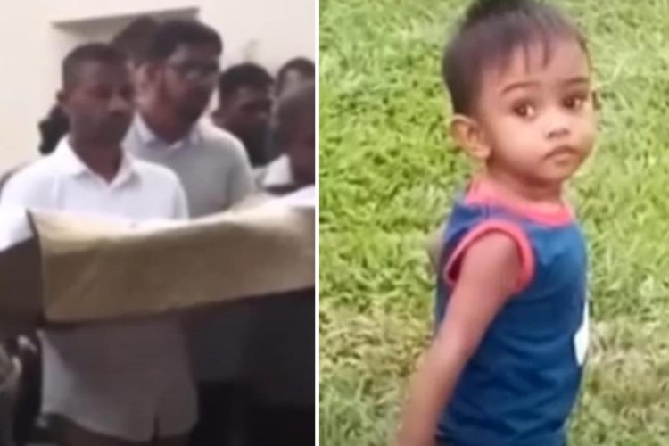 හම්දි...