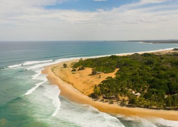 Tropical landscape with a beautiful beach top view. Baby Surf Point, Arugam Bay, Sri Lanka.