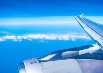 Did a Bird Strike cause Korean air crash?