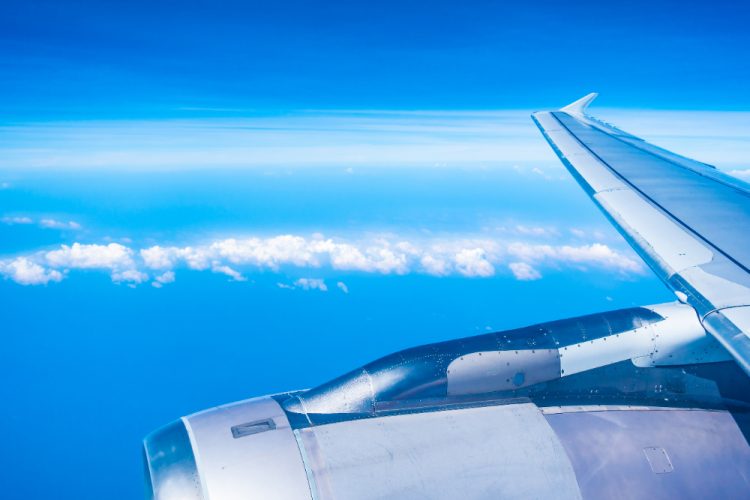 Did a Bird Strike cause Korean air crash?