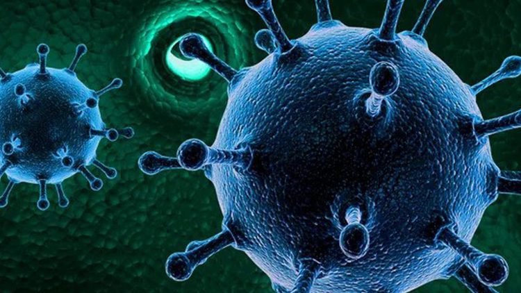 China in Denial: Mysterious Viral Outbreak