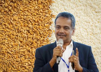 Rice stock Release Questioned