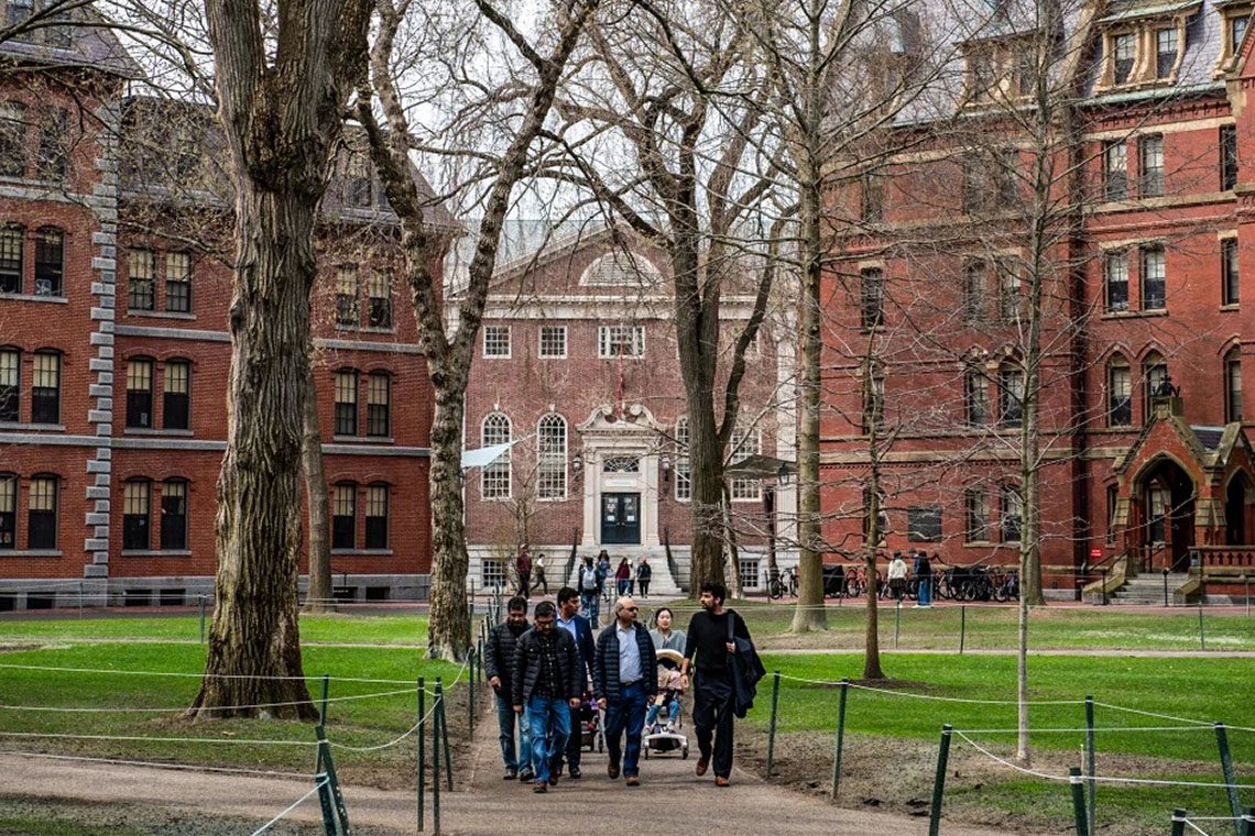 harvard- 