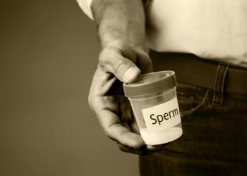 sperms