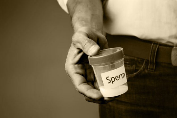 sperms