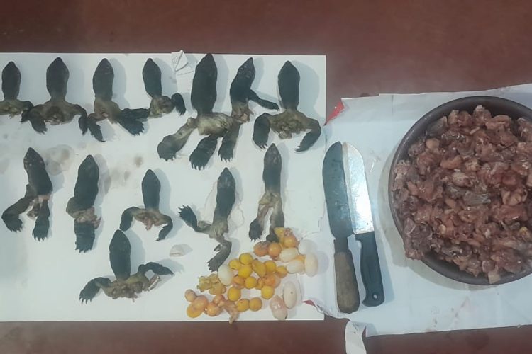 මස් කළ කිරි ඉබ්බන්...
