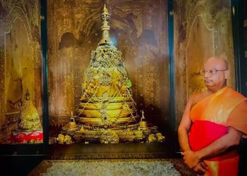 ආනමඩුවේ ධම්මදස්සී හිිමි