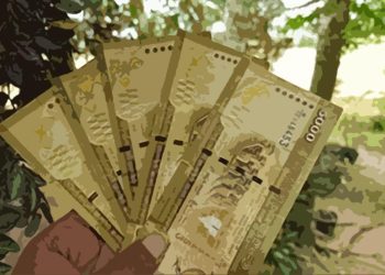 sri-lanka -rupee